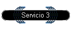 Servicio 3