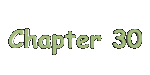 chapter30a.gif