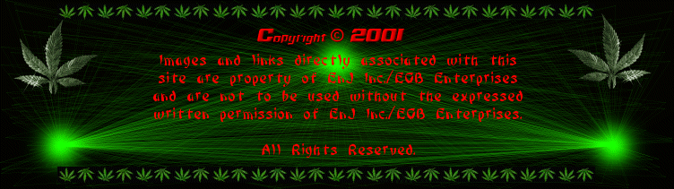 Copyright Notice