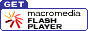 Flash Plugin