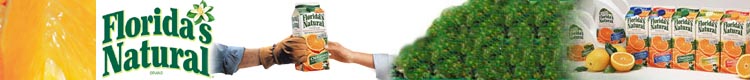 banner ad