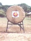 target