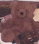 Mr. Bear