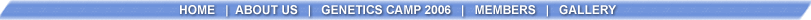 navbar