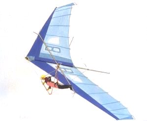 [ phoenx8P.jpg ]
