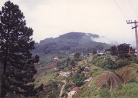 Haputale