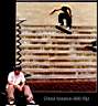 www.chadmuska.net0019.jpg