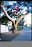 www.chadmuska.net0030.jpg
