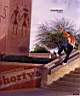 www.chadmuska.net0049.jpg
