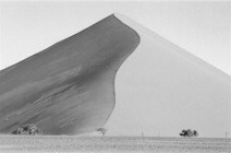 Dune in the Namib desert, in Namibia. Summer 1996