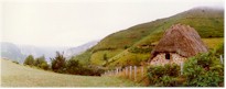 Valley's lake walk, Somiedo (Asturies, Spain). Summer 1998
