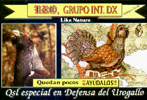 Special Qsl Capercaillie Defend