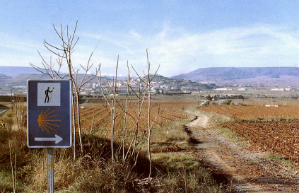 El camino jacobeo cerca ya de Navarrete, importante enclave riojano del medioevo.