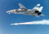 f14-04.gif (114763 bytes)