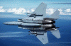 f15-04.gif (145124 bytes)