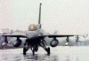 f16-02.gif (287091 bytes)