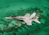 f18-01.gif (213726 bytes)