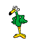 Chicken Dance!