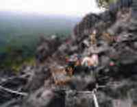 Cliff Excavation Site