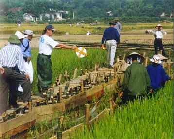 Sandbag dam in a site in Vietnam...