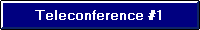 1st Teleconference