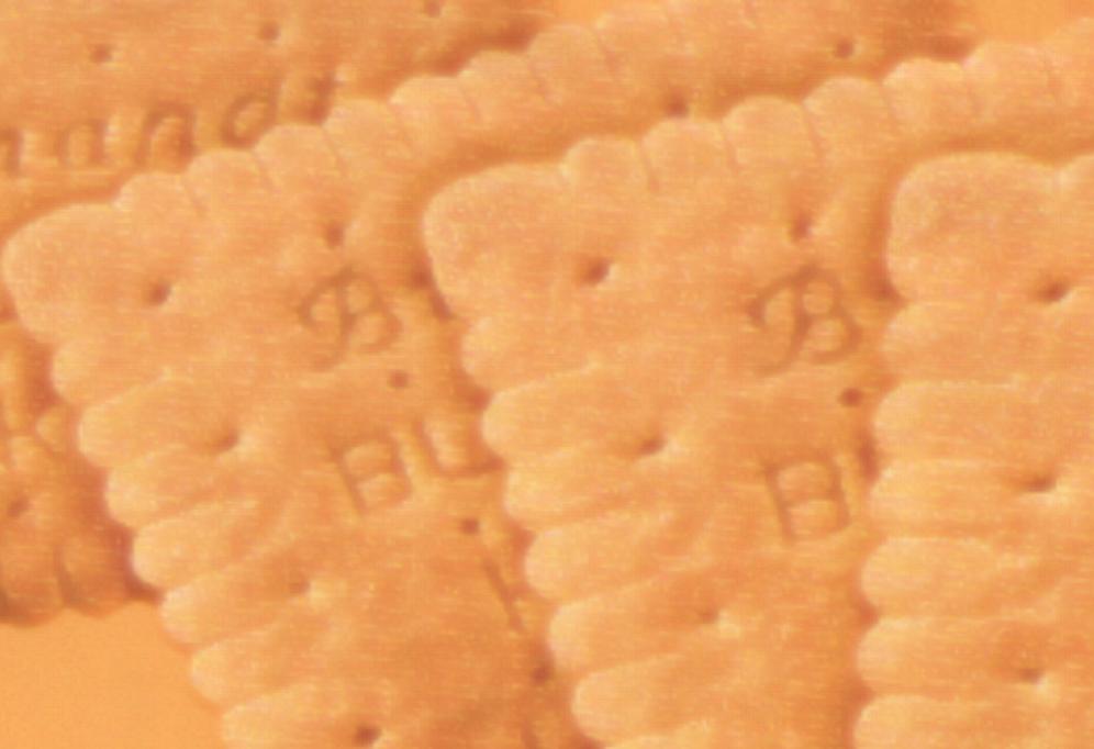 Biscuit.JPG - 46619 Bytes
