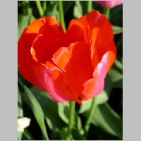 DSCN3424.JPG