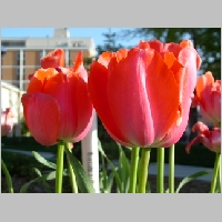 DSCN3426.JPG