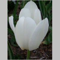DSCN3427.JPG