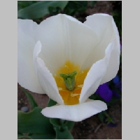 DSCN3428.JPG