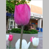 DSCN3432.JPG