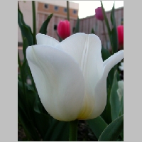 DSCN3434.JPG