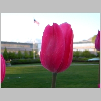 DSCN3454.JPG