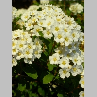 DSCN3455.JPG