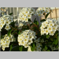 DSCN3456.JPG