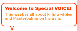Special VOICE