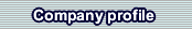 Company profile