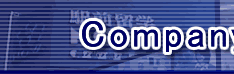 Company profile