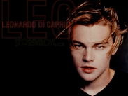 leonardo Decaprio