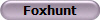 Foxhunt