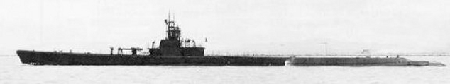 Ss250
