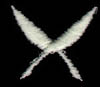 yn