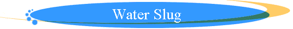 Water Slug