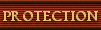 Secret Service Protection