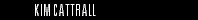 No official Homepage Yet