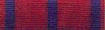 Star Fleet Medal