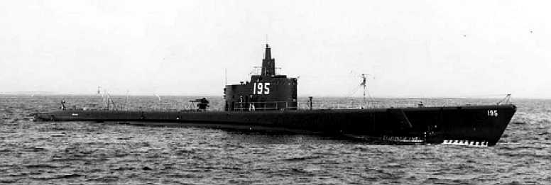 ss195-1.jpg