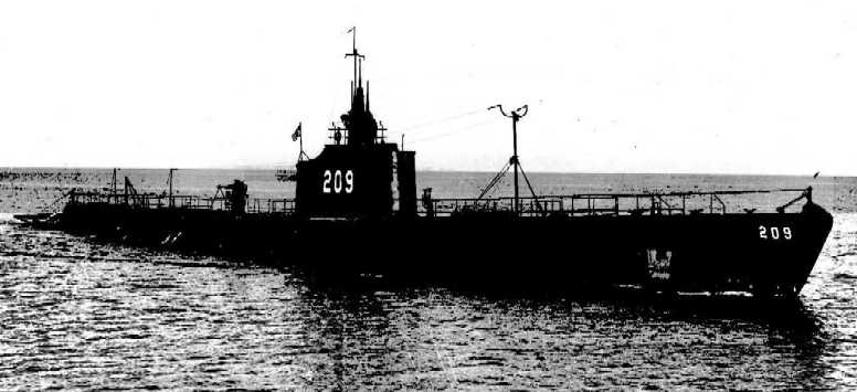 ss209-1.jpg