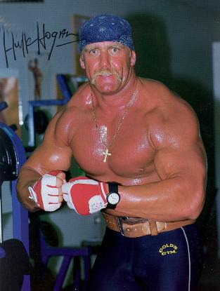 bshogan.jpg (19577 byte)