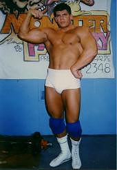 bsraven1.jpg (9342 byte)